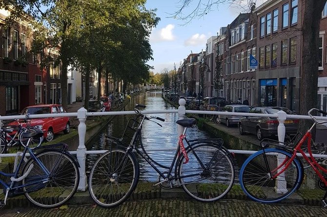 privatetour Delft, The Hague&Rotterdam Kinderdijk from Amsterdam - The Hague highlights: Mauritshuis, Binnenhof, and the Peace Palace