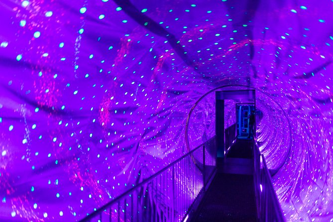 Ripley's Believe It or Not Amsterdam & 1-Hour Canal Cruise - Ripley’s Believe It or Not Amsterdam: the fun part of exploring at your pace