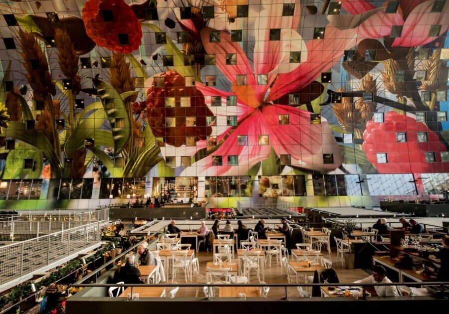 Rotterdam: 2-Hour Guided Walking Tour - Booking choice: should you sign up for this Rotterdam walk?
