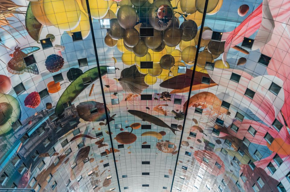 Rotterdam: Architectural Highlights Guided Walking Tour - Rotterdam architecture: why this city feels different