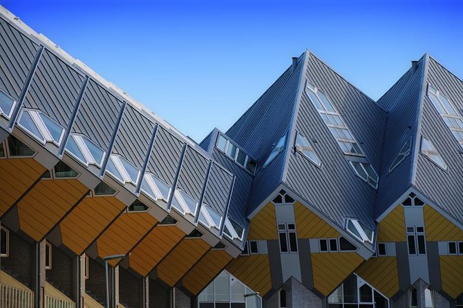 Rotterdam Architecture and Highlights Walking Tour (TOP RATED) - Erasmus Bridge: The Icon You Finally Understand