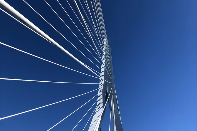 Rotterdam Architecture Highlights Walking Tour - Boompjeskade on the Maas: views that make the walking pay off
