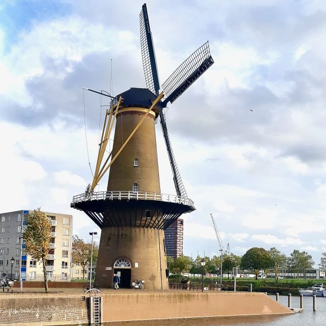 Rotterdam: Breweries and Water Taxi Tour - Starting at Markthal: how the 4-hour flow feels in real life