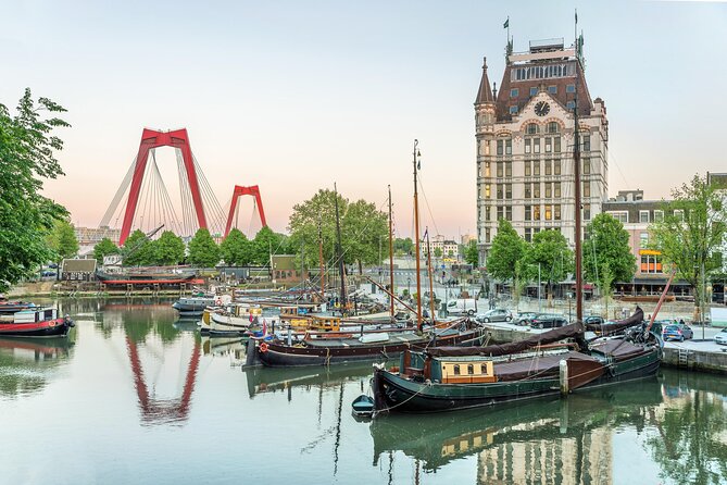 Rotterdam & Delft Private Offshore Daily Walking Tour - The ports and bridges section: where Rotterdam shows its muscles