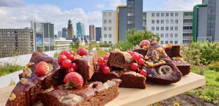 Rotterdam: Food Tour by Bike - Key highlights to look forward to