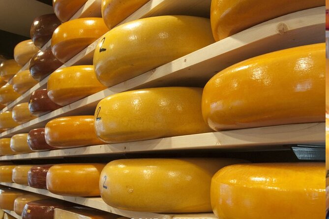Rotterdam & Gouda Private Daily Walking Tour - Key Highlights You’ll Notice Fast