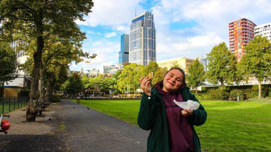 Rotterdam: Guided Food Tour - Rotterdam Food Tour at a Glance: What You Actually Get for $87