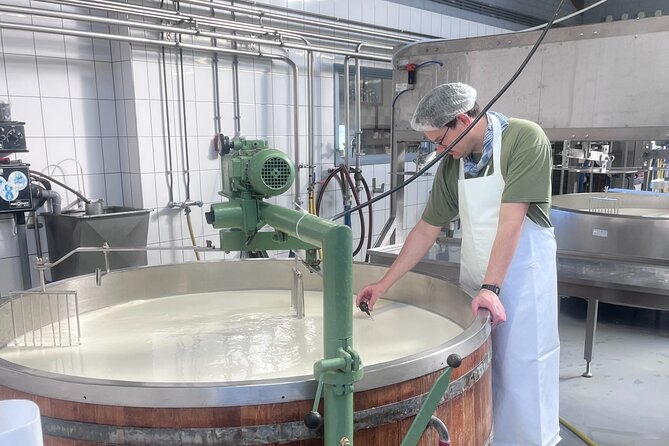 Rotterdam- Kinderdijk -Cheese Farm Experience min 4 max 100 PP - A 4–5 hour Rotterdam-to-Kinderdijk rhythm you can actually handle