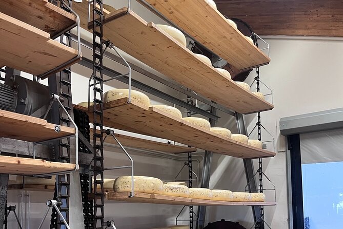 Rotterdam- Kinderdijk -Cheese Farm Experience min 4 max 100 PP - Price and logistics: what you pay for (and what you should plan for)