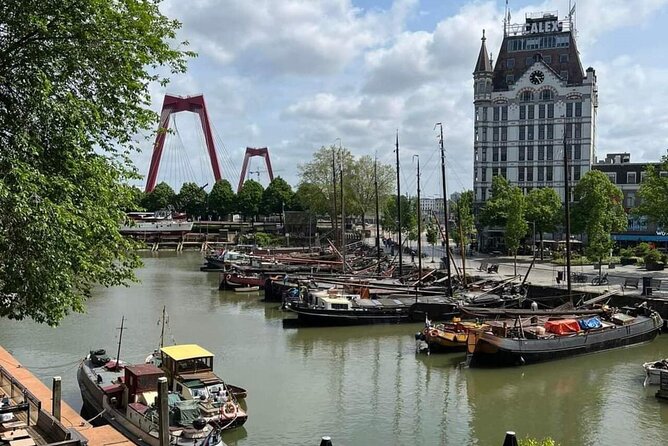 Rotterdam: Private Tour with Local Guide + Cube House visit - Timing and pacing: what 2 hours feels like on foot
