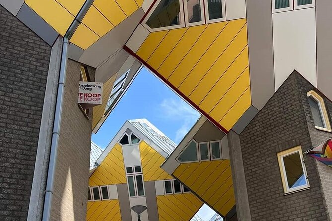 Rotterdam: Private Tour with Local Guide + Cube House visit - Who this Rotterdam route is best for