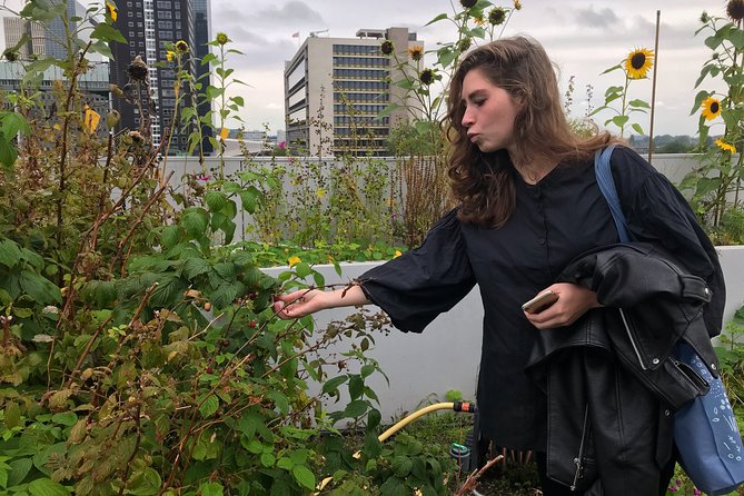 Rotterdam Travel to the Future Walking Tour - Why a Rotterdam future walk beats a normal sightseeing loop