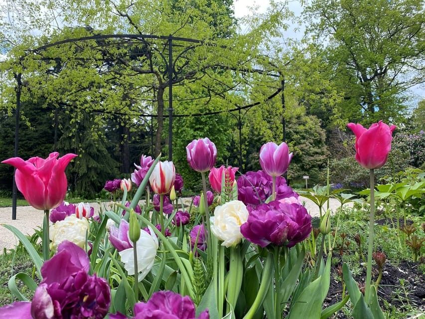 Rotterdam: Trompenburg Botanical Gardens Entry Ticket - Sunday Afternoon Programs: Guided Walks, Workshops, Lectures