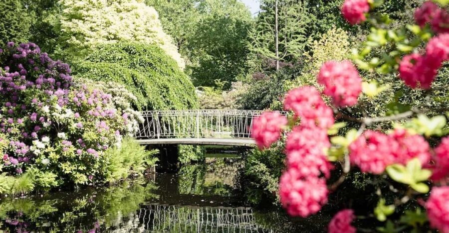 Rotterdam: Trompenburg Botanical Gardens Entry Ticket - Price and What Your $15 Entry Ticket Actually Covers