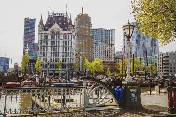Rotterdam Walk: Hilights, Gems, Architecture & WWII | 2 or 3hrs - Depot Boymans Van Beuningen: the mirrored art depot and museum district context