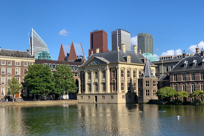 Royal The Hague Private Guided Walking Tour - Royal The Hague in 2.5 hours: what a private guide buys you