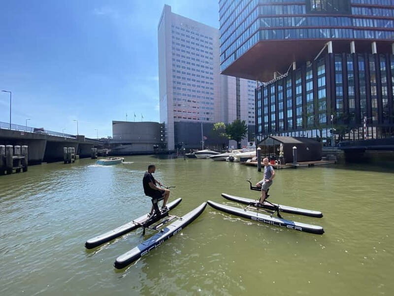 Schiller Water Bike Rental in Maritime District Rotterdam - What You’ll See on the Water in Rotterdam’s Maritime District