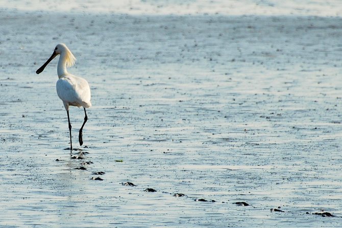 Seal Safari at UNESCO Site Waddensea from Amsterdam - Stop 2 in Twisk: a short detour into a 17th-century village