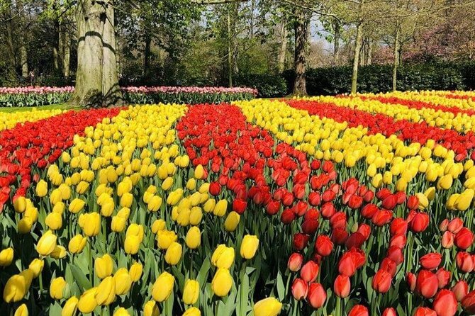 Skip-the-Line Keukenhof Gardens and Tulip Fields Tour from Amsterdam - The 4-Hour Schedule: How to Make It Feel Like Plenty of Time