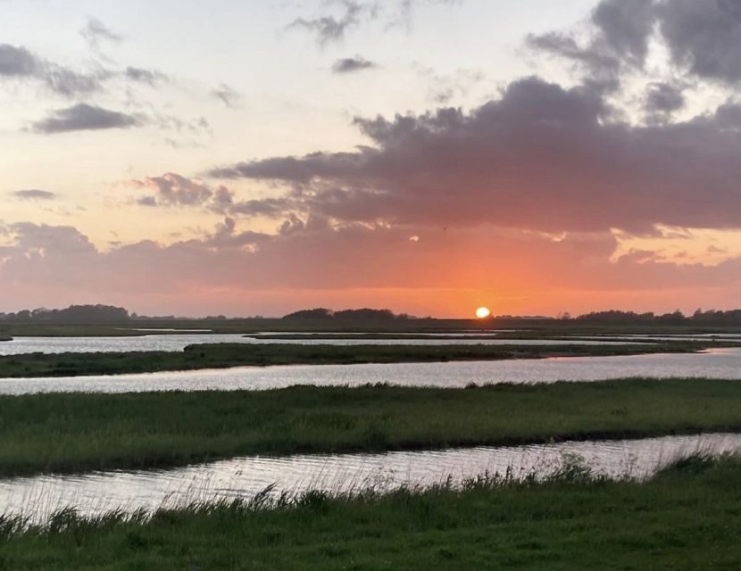 Small group full day island tour to Texel from Amsterdam - Key things I’d plan around on this Texel day trip