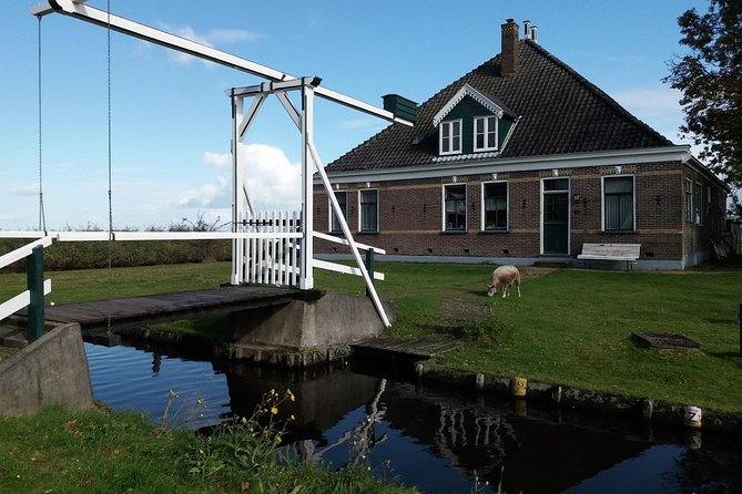 Small-Group Guided Sunset Canoe Tour in Waterland with Dinner - The island picnic dinner by the lake (and those windmill views)