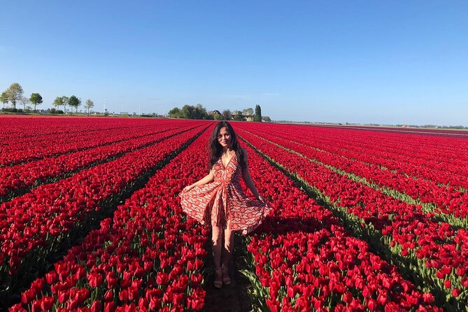 Small Group Keukenhof and Delft Guided Tour from Amsterdam - What Makes This Tour Worth Your Time