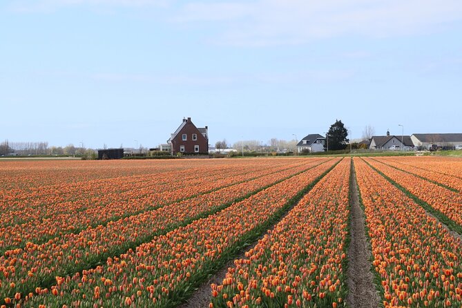 Small Group Keukenhof and Delft Guided Tour from Amsterdam - Delft Blue Pottery Factory Workshop: How the Craft Is Made