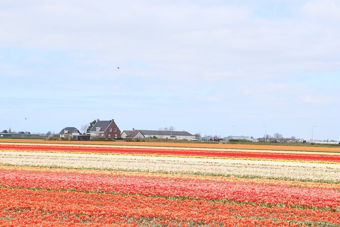 Small Group Keukenhof and Delft Guided Tour from Amsterdam - Price and Value: What You’re Paying For on This $191.88 Day