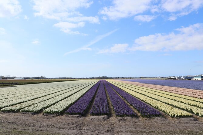 Small Group Keukenhof and Delft Guided Tour from Amsterdam - Who Should Book This (and Who Might Want a Different Plan)