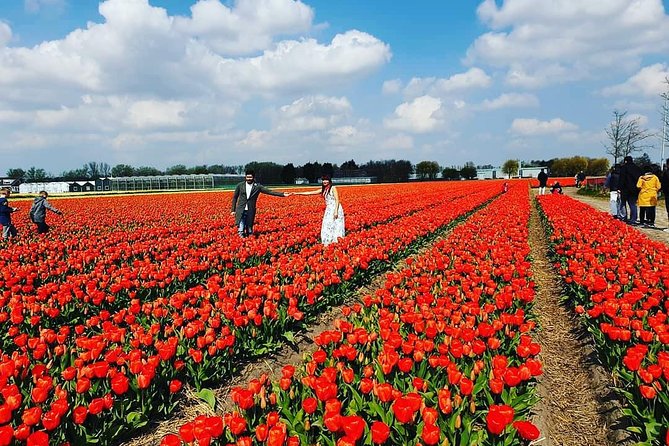 Small Group Keukenhof and Delft Guided Tour from Amsterdam - Should You Book the Keukenhof and Delft Small-Group Tour?