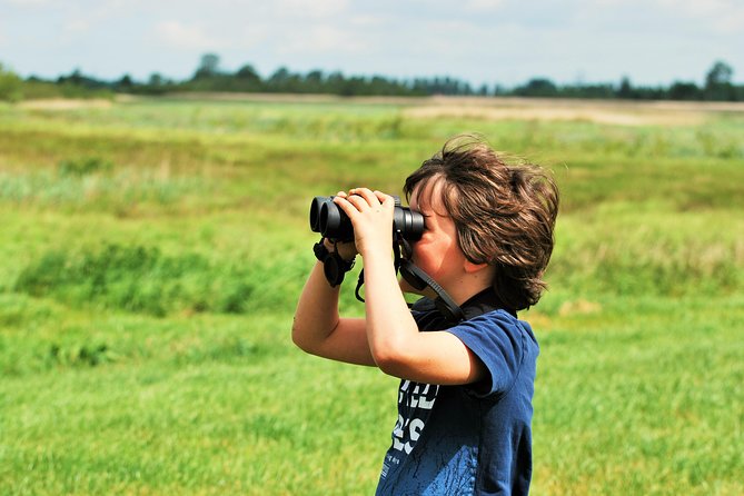 Small Group Tour to NP Hoge Veluwe (van Gogh) from Amsterdam - Price and logistics: what you’re actually paying for
