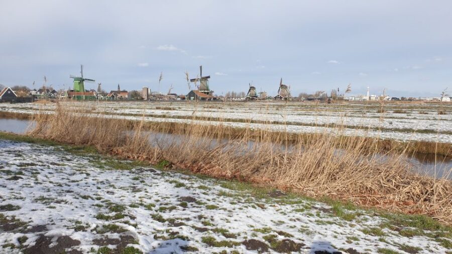 Small Group Zaanse Schans & Volendam Tour w/ Hotel Pick up - Key Highlights You’ll Care About