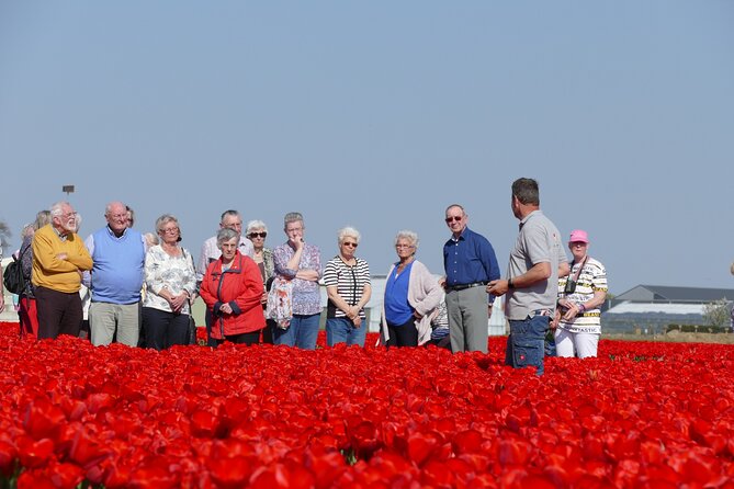 Taking Pictures in the Tulip Field at De Tulperij - My booking advice: should you go for tulip photos at De Tulperij?