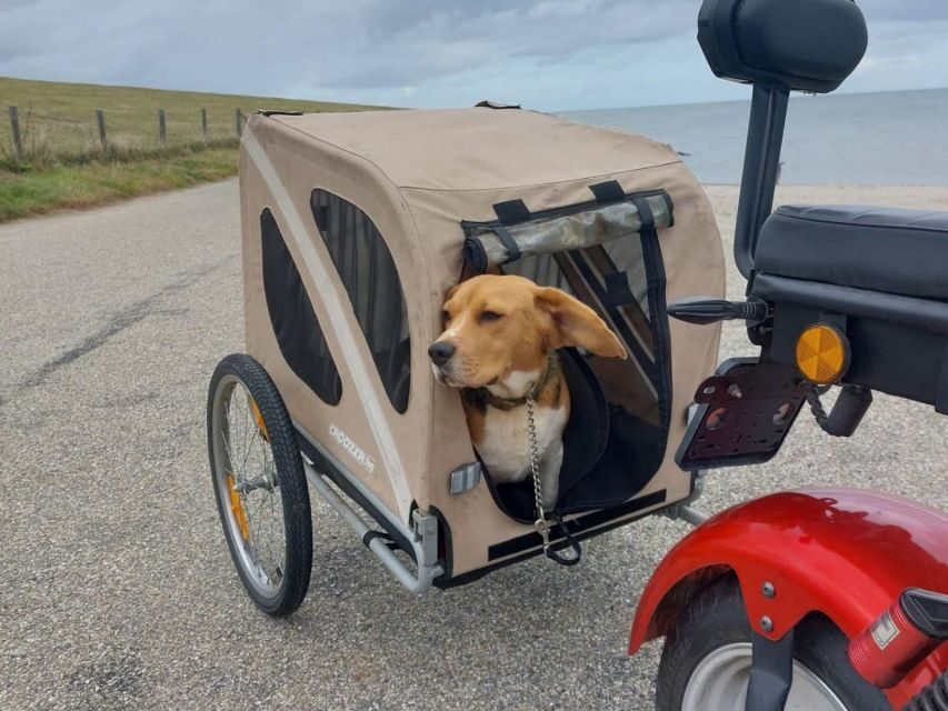 Texel: E-Scooter Rental - Key Things to Know Before You Ride