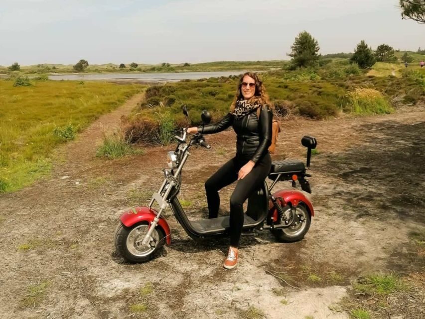 Texel: E-Scooter Rental - The TexelCruiser Feel: Tires, Handlebars, and That Turning Radius