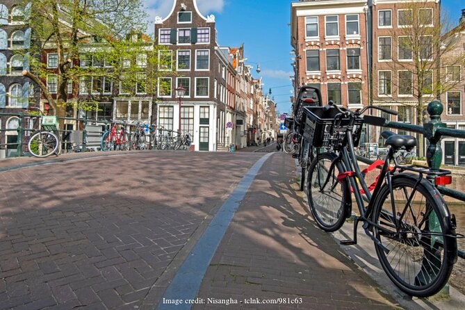 The Best of Amsterdam: Private Full-Day Tour with a Canal Cruise - Key highlights to notice before you book