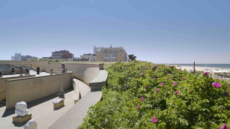 The Hague: Museum Beelden aan Zee Entry Ticket - The one drawback to plan for: limited label depth