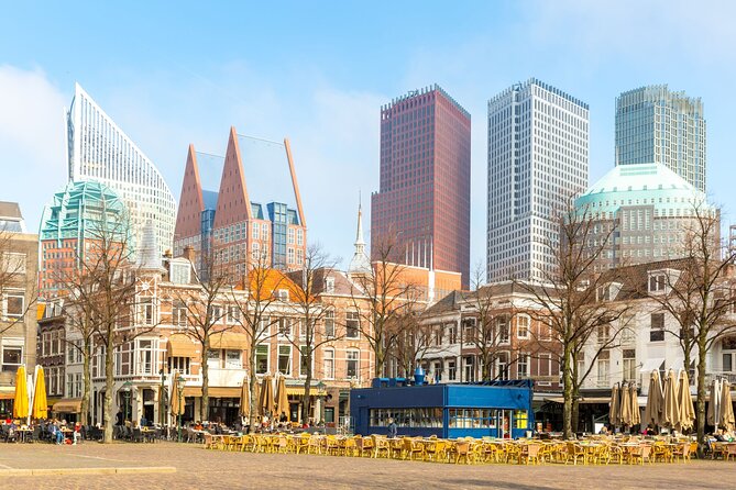 The Hague Private Custom Walking Tour With A Guide (Private Tour) - Private guide logistics: pickup, meeting point, and a flexible endpoint
