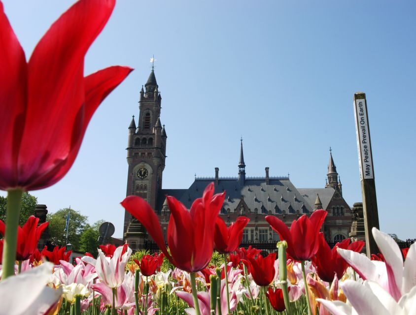 The Hague Walking Tour - Price and value: what $164 buys you (and what to watch for)