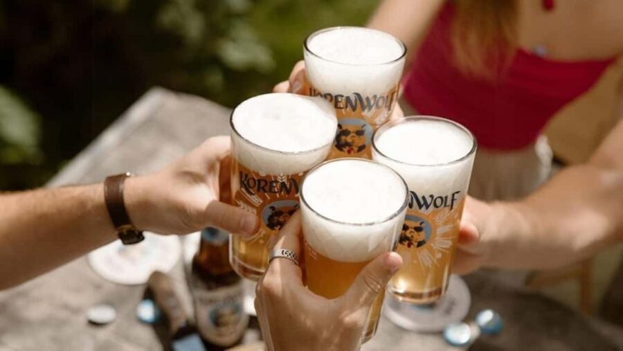 Top 10 Tastings of Amsterdam: Guided Walking Food Tour - Stop-by-stop: how the tastings actually build a Dutch food story