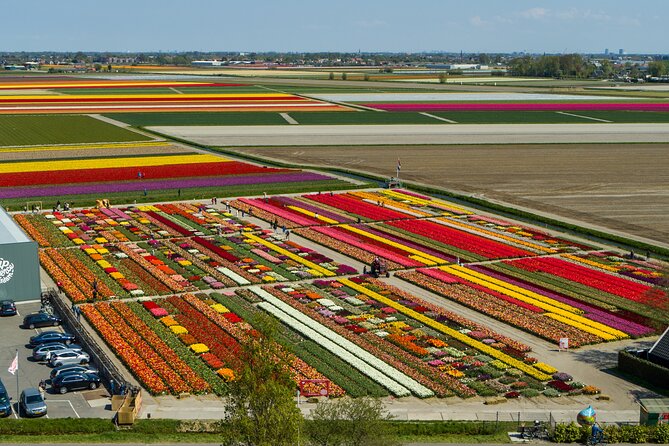 Tour to Giethoorn and Keukenhof Tulip Fields from Amsterdam - What You Actually Get for the Price