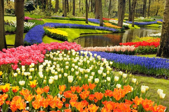 Tulip Experience and Keukenhof Flower Gardens Tour from Amsterdam - Key highlights worth your attention