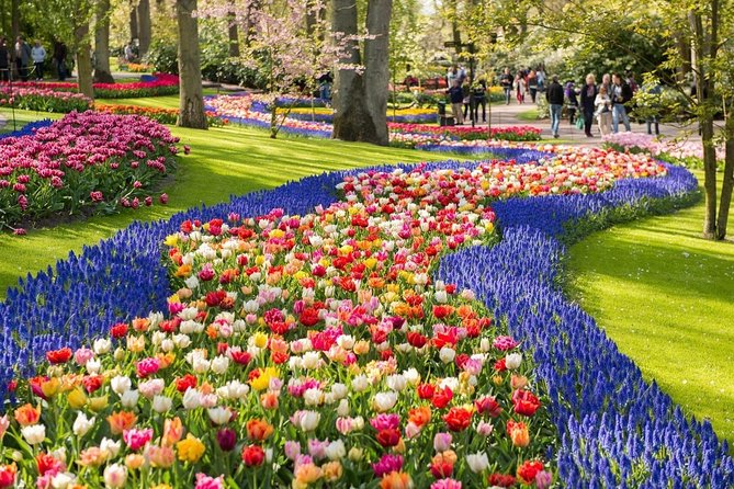 Tulip Experience and Keukenhof Flower Gardens Tour from Amsterdam - Tulip Experience Amsterdam: the tulip story, from Kazakhstan to your camera