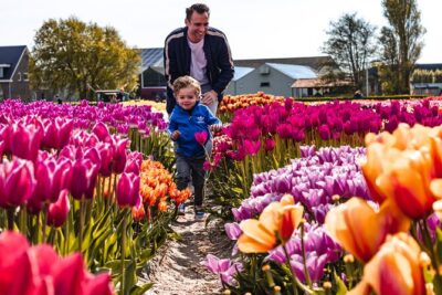 Tulip Experience and Keukenhof Flower Gardens Tour from Amsterdam - Keukenhof in a private rhythm: tickets handled, 2.5 hours to roam