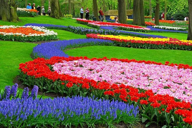 Tulip Experience and Keukenhof Flower Gardens Tour from Amsterdam - The value question: $382.91 per person, and what makes it add up