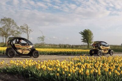 Tulip Fields near Keukenhof - Self-Drive Audio Tour for 2 People - Price and Value: What You’re Really Paying For