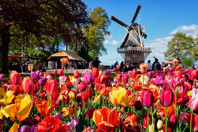 Tulip Paradise: Keukenhof Half-Day Private Tour - Hotel pickup that actually saves your morning