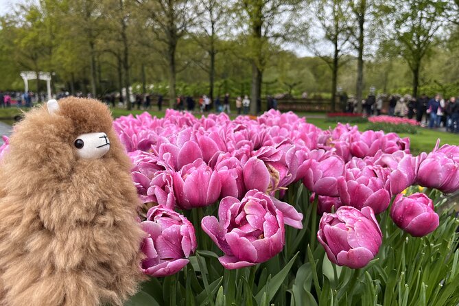 Tulip Paradise: Keukenhof Half-Day Private Tour - Should you book Tulip Paradise: Keukenhof Half-Day Private Tour?