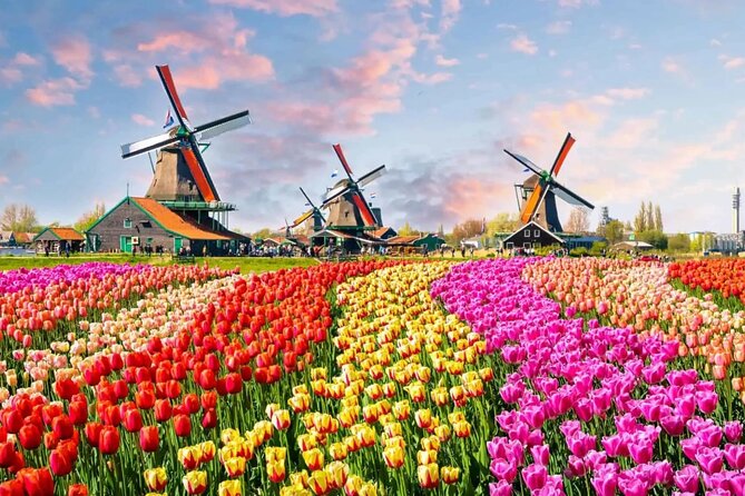 Tulip Paradise: Keukenhof Half-Day Private Tour - The tulip fields drive: windmills, photo stops, and spring stories