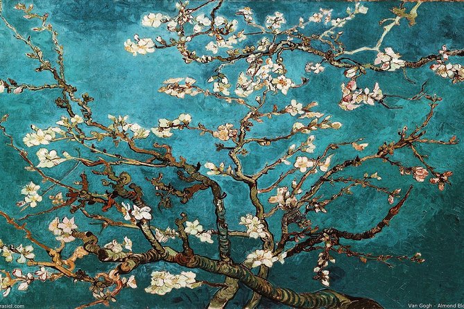 Van Gogh Museum Amsterdam Exclusive Tour w/ Reserved Entry - How 2.5 Hours Works With an All-Day Ticket